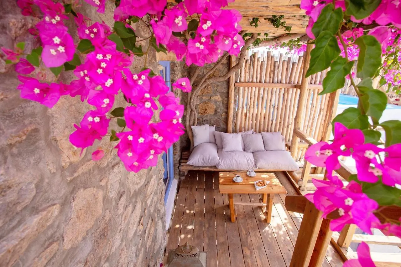 Apsenti Couples Only Aparthotel Agios Ioannis Diakoftis